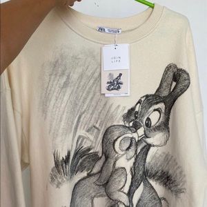 Zara x Disney thumper sweater